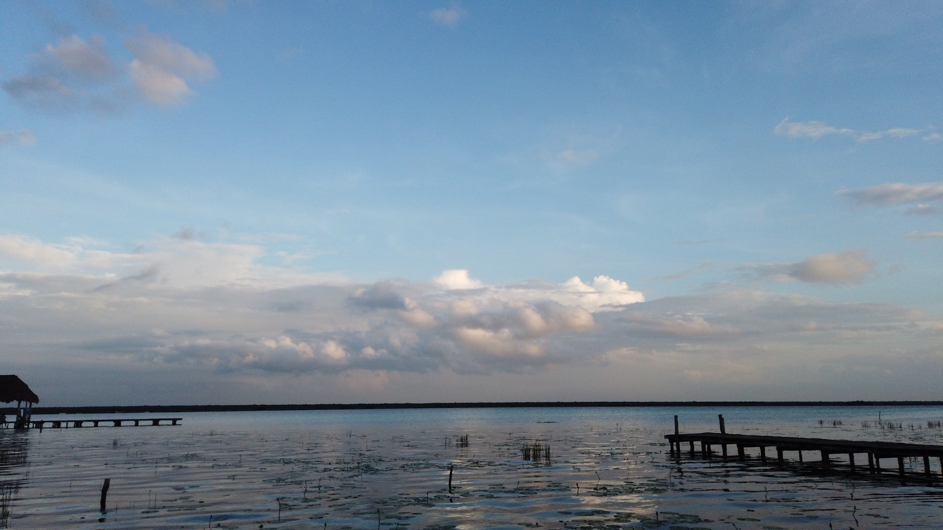 TLPS0339.JPG
