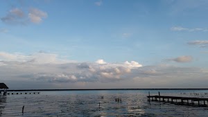 TLPS0339.JPG