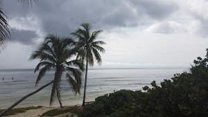 TLPS0345.JPG