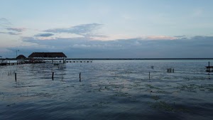 TLPS0345.JPG