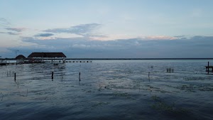 TLPS0346.JPG