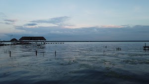 TLPS0347.JPG