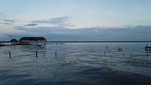TLPS0348.JPG