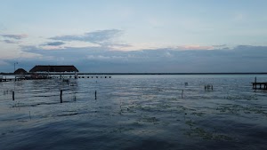 TLPS0354.JPG