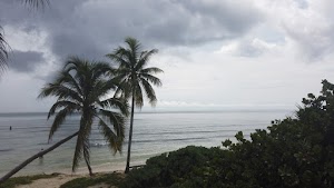 TLPS0356.JPG