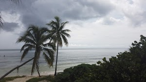 TLPS0357.JPG