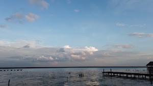 TLPS0358.JPG