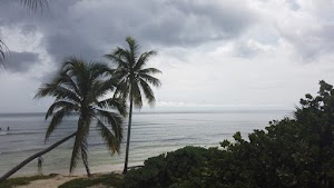 TLPS0359.JPG