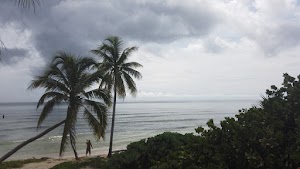 TLPS0364.JPG