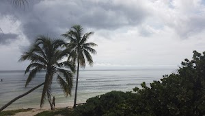 TLPS0365.JPG