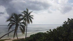 TLPS0371.JPG