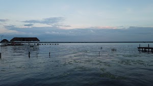 TLPS0371.JPG