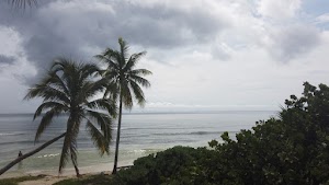 TLPS0373.JPG