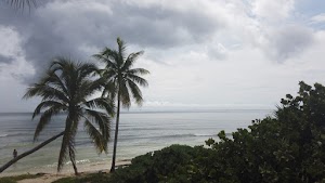 TLPS0374.JPG