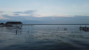 TLPS0374.JPG