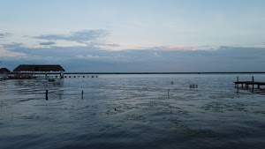 TLPS0377.JPG
