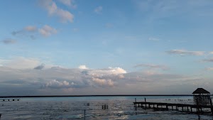 TLPS0378.JPG