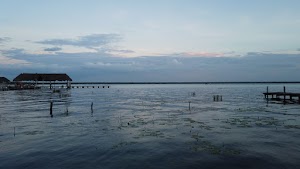 TLPS0379.JPG