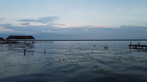 TLPS0380.JPG