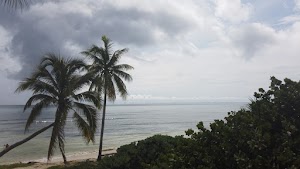TLPS0382.JPG