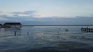 TLPS0382.JPG