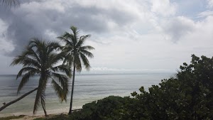 TLPS0383.JPG