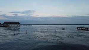 TLPS0384.JPG