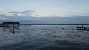 TLPS0386.JPG