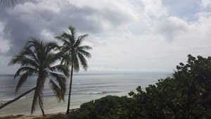 TLPS0387.JPG