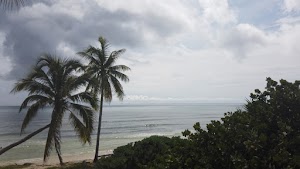 TLPS0388.JPG