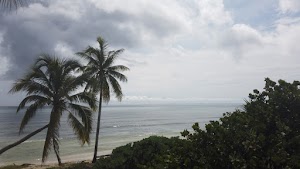 TLPS0390.JPG