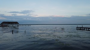 TLPS0391.JPG