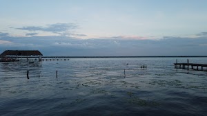 TLPS0393.JPG