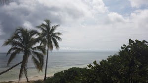 TLPS0396.JPG