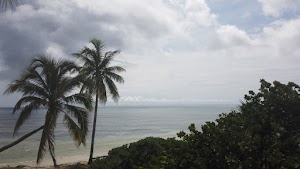 TLPS0397.JPG