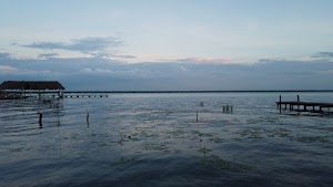 TLPS0397.JPG