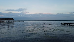 TLPS0398.JPG