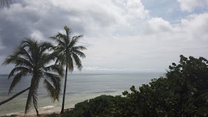 TLPS0398.JPG