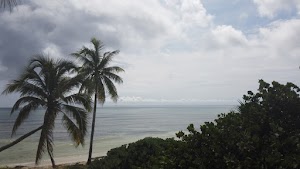 TLPS0399.JPG