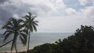 TLPS0400.JPG