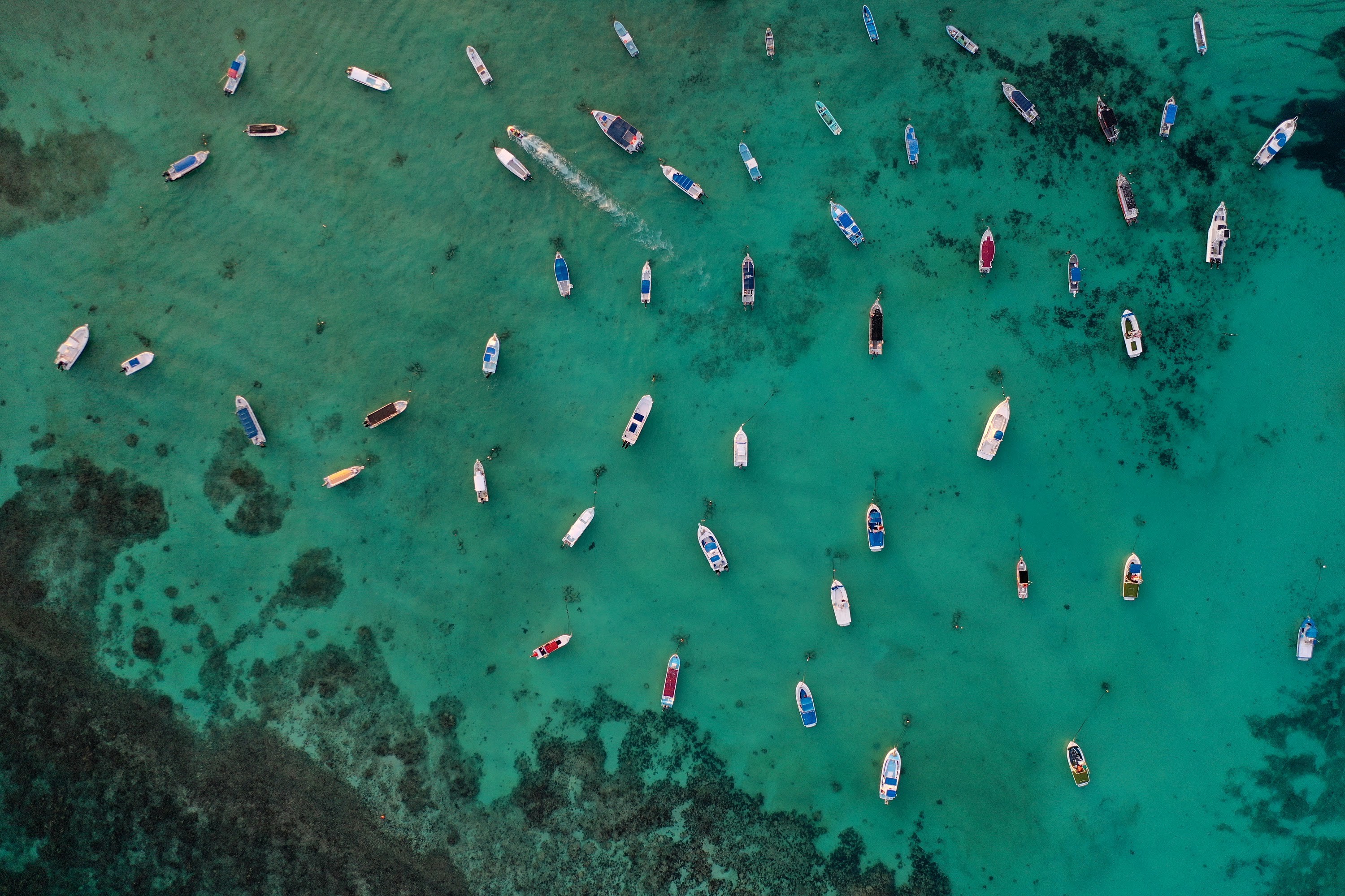 DJI_0220.JPG