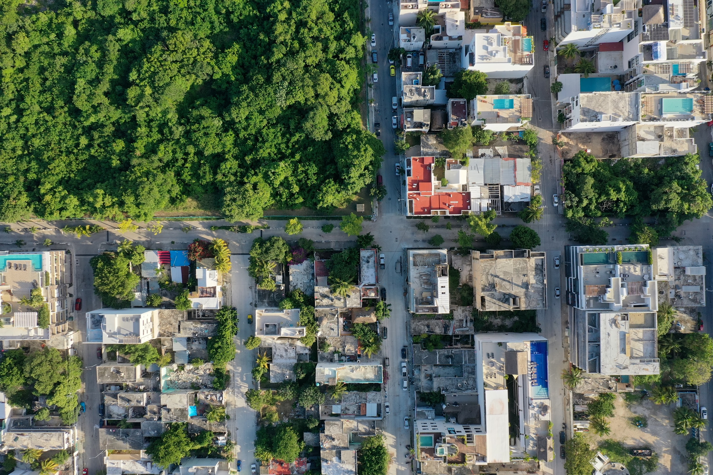 DJI_0303.JPG