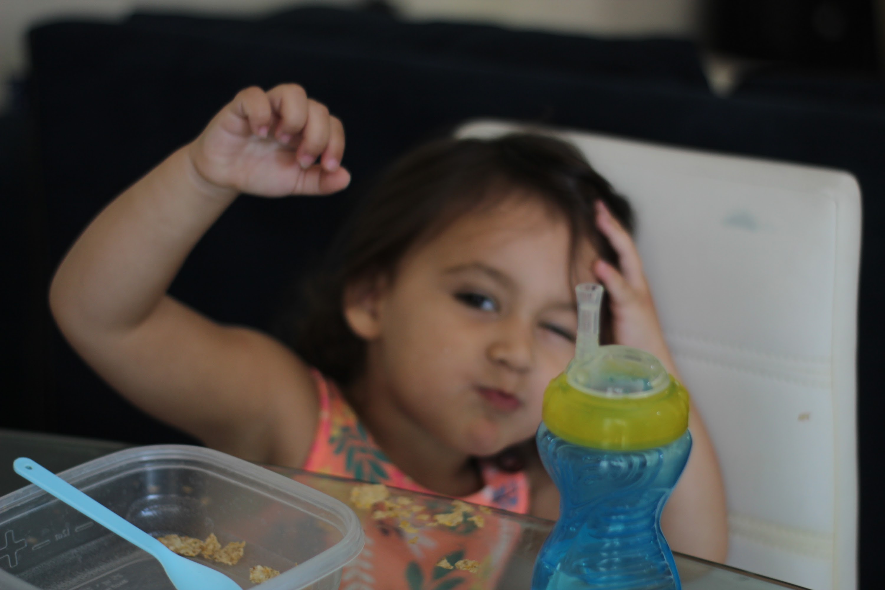 IMG_0008 copy.JPG