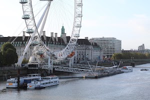 IMG_0010.JPG