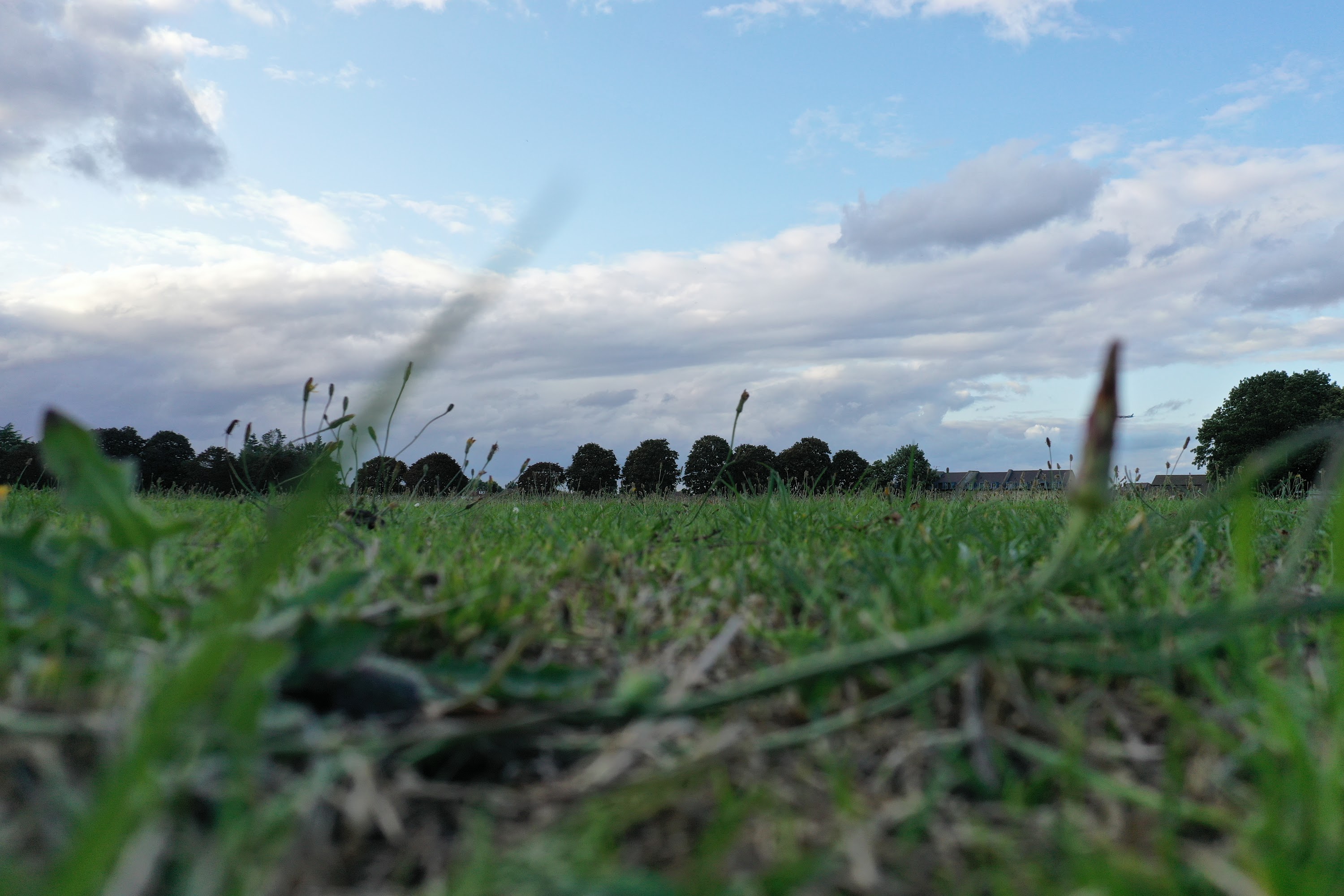 DJI_0792.JPG