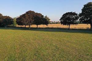 DJI_0847.JPG
