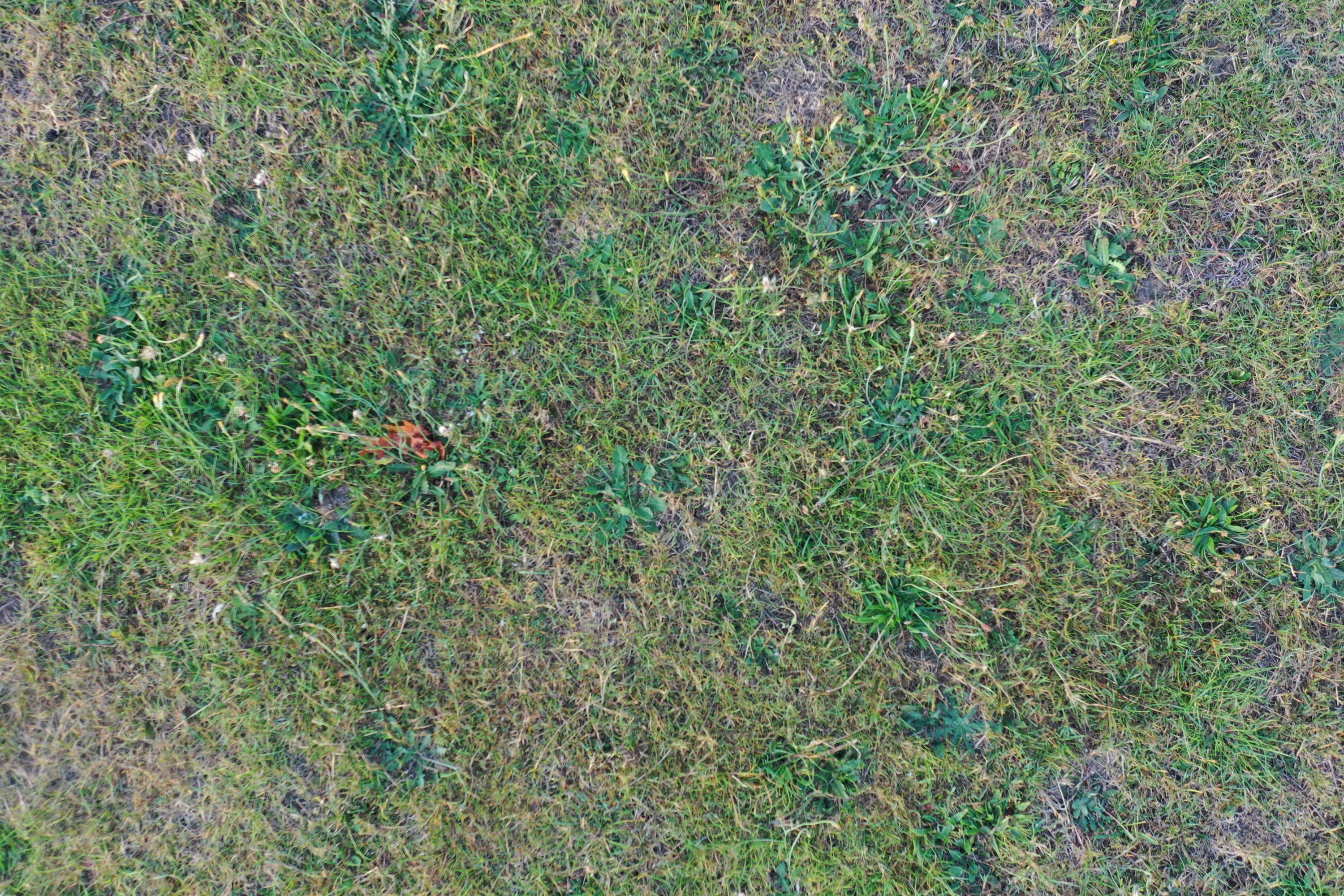 DJI_0848.JPG