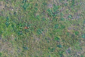 DJI_0848.JPG