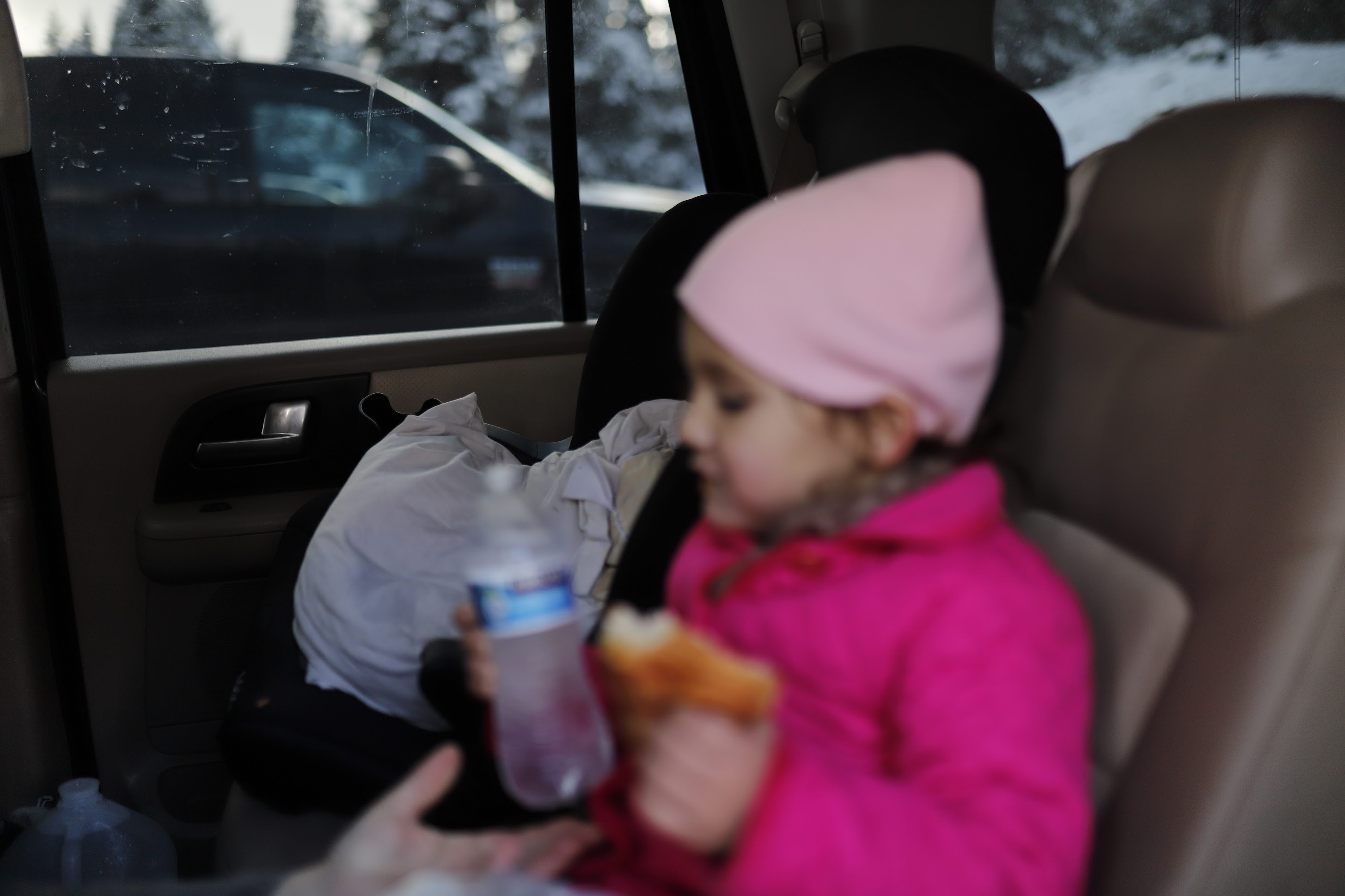 _MG_6208.CR2