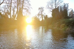 DJI_0336.JPG